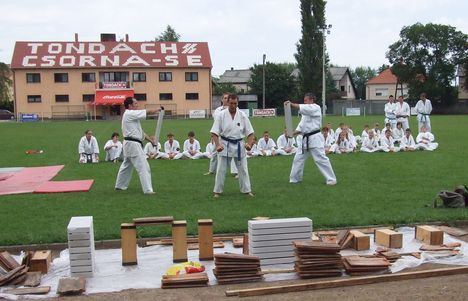 Karate 081
