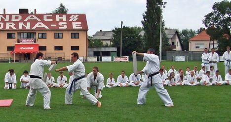 Karate 082