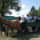 Kirandulas_2-001_899746_62223_t