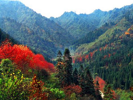 Mount Emai Shan.