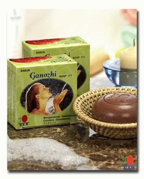 ganozhi_soap