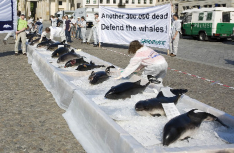 Halott delfinek és bálnák 02