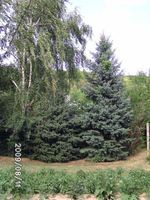 5139719_bc7dc26e73244ae4ffea5ac3b83b640b_s