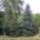 5139719_bc7dc26e73244ae4ffea5ac3b83b640b_s_911184_16283_t
