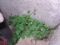 5139747_b6508ea006da46bb4a13e91ecc7a7a48_s