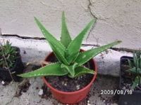 5151305_5d426d4ce0a46a3a35437564ea9f2c4e_s
