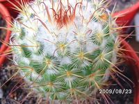5172861_36cd27f3e021da6bfcbe797cea98cc3a_s