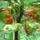 8825017_ee8a33cf5a1adafc0eaffa79aee72dcb_s_911380_29457_t