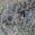 Kertunkbol-062_911155_18559_t