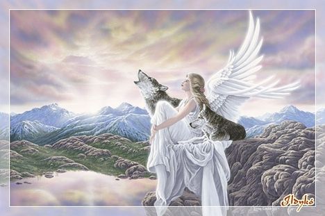 az angyal és a farkasok fohásza