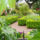 Bronx_botanical_garden-001_914862_13069_t