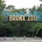 Bronx ZOO.