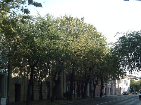 Széchenyi utca 2.