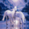 csillogó lovas kép 10