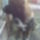 Zeus_16honaposan-001_919433_20822_t