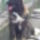 Zeus_16honaposan-002_919438_53560_t