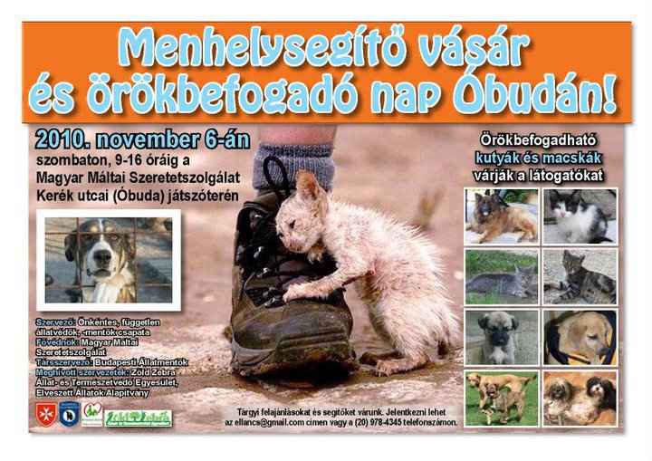 orokbefogado_nap_lesz_nov_6an_obudan_921791_68364.jpg