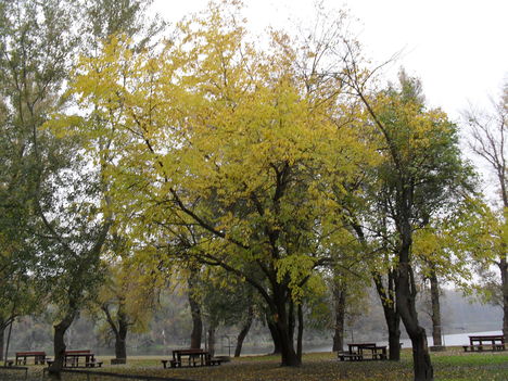 Picnik park ősszel