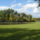 Martelyi_tisza_holtag-014_922375_63102_t