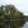 Martelyi_tisza_holtag-017_922382_82519_t