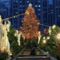 Rockefeller Center Christmas Tree.