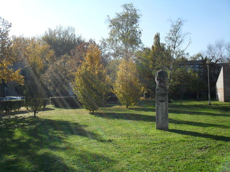 Kohán Győrgy park