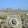 Laodicea_1_924620_86395_t