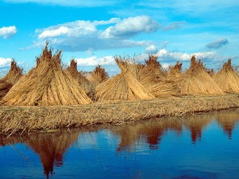 Fertő-Hanság Nemzeti Park