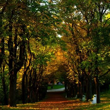 Sopron:      őszi park