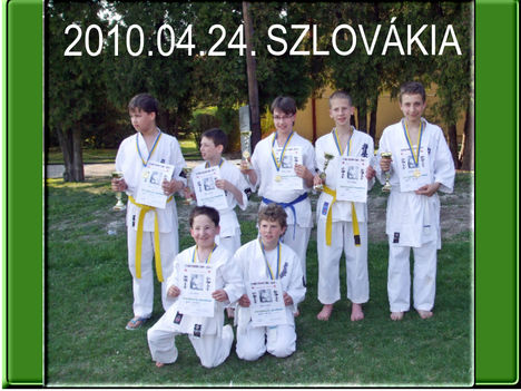SZLOVÁKIA 2010-4, Ekecs