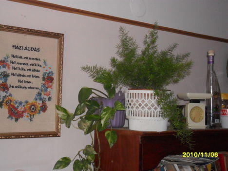 sam_0406_932355_