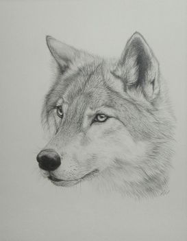 Wolf2005