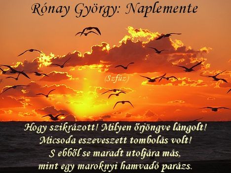 Rónay György - Naplemente