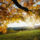 Autumn_leaves_936367_94170_t