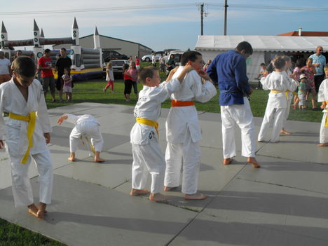 judo 7