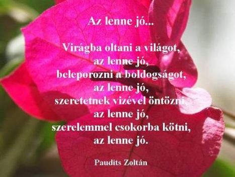 Paudits Zoltán versei