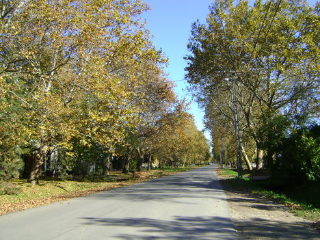 Kossuth L.utca