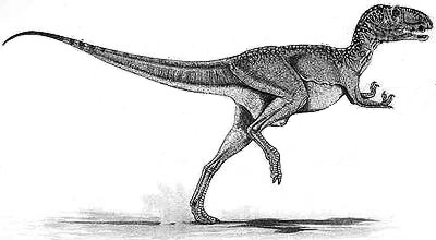 Abelisaurida.Nagyobbik iharkúti ragadozó dinoszaurusz