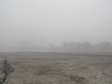 Duna part egy ködös reggelen 3