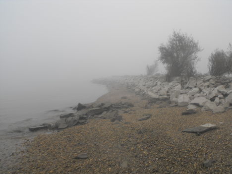 Duna part egy ködös reggelen 5