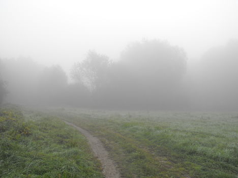 Duna part (Körtvélyes) egy ködös reggelen 6