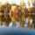 Martelyi_tisza_holtag-006_938820_35679_t