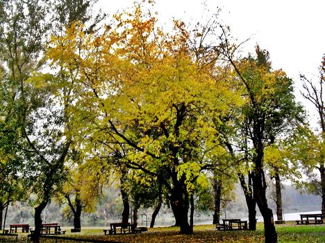 Mártélyi Tisza hóltág picnik park