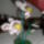 Orchidea-002_938135_24212_t