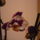 Orchidea_viragzasa__meg_csak_egy__ket_viraggal_2_942442_52639_t