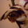 Orchidea_viragzasa__meg_csak_egy__ket_viraggal_3_942308_41521_t