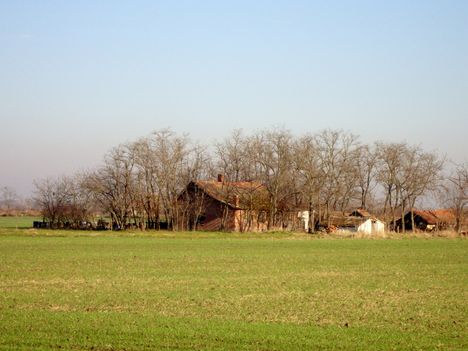 Alföldi tanya