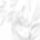 Bleach-003_949877_51819_t