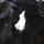 Cimg4177_949476_37822_t