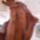 Cimg4184_949469_14694_t